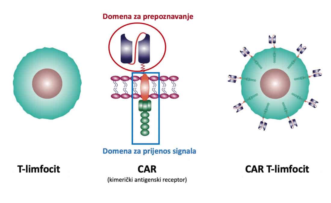 Domena za prepoznavanje