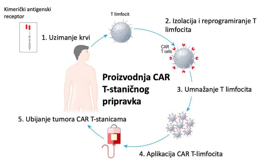 Proizvodnja CAR t-staničnog pripravka